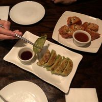Dumplings and tofu skin rolls at LuAnne's Wild Ginger - Carroll Garden in Brooklyn