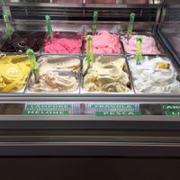 Gusto alla frutta vegan  at Gelato Pazzo in Aosta