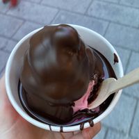 Raspberry sorbet with dark chocolate  at Chocolats Favoris in Montreal