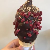 Raspberry sorbet with 72% dark choc and all the yummy garnishing! at Chocolats Favoris in Montreal