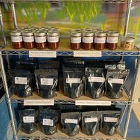 Other things you can buy at Mugi in Toronto