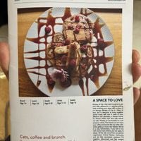   at Ministry of Cat in Phnom Penh