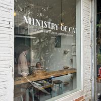   at Ministry of Cat in Phnom Penh