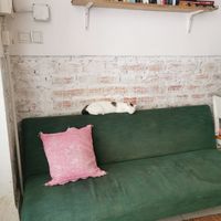  at Ministry of Cat in Phnom Penh