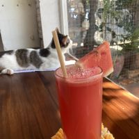 Watermelon juicee  at Ministry of Cat in Phnom Penh