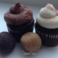 Gluten Free Cupcakes and Cake Balls - Sweet Avenue Bake Shop at Sweet Avenue Bake Shop in Rutherford