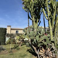 Garden area  at Curolla Petit Hotel in Mallorca