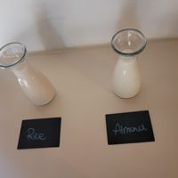 Milk alternatives at Curolla Petit Hotel in Mallorca
