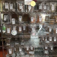 dehydrated goods selection at Pat Greer's Kitchen in Houston