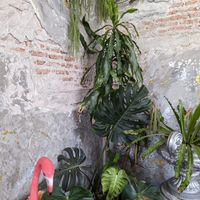  at Vistro in Bangkok