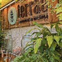   at Terrae Organica in Vigo