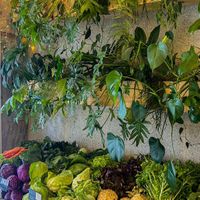   at Terrae Organica in Vigo