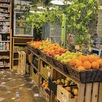   at Terrae Organica in Vigo