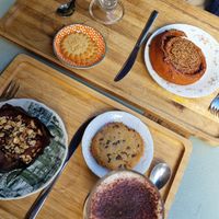  at Terrae Organica in Vigo