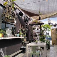 garden area at Oakland Coffee & Juice Bar in Oakland Park