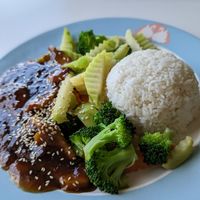 Grilled Teriyaki at Loving Hut in Orlando