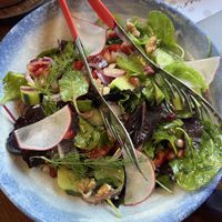   at Te Fisi in Shkoder