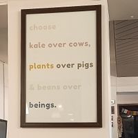  at The Vegan Kitchen in Ahmedabad