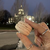 Pomegranate macaron  at Plant City in Providence