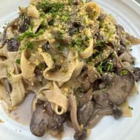 Tagliatelle with wild mushrooms - my fave!  at Plant City in Providence
