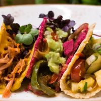 Filled Tacos at Plant-Based Kochschule in Hannover