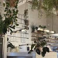   at Wild & The Moon - Emmar in Dubai