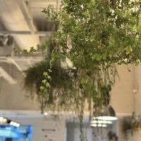   at Wild & The Moon - Emmar in Dubai