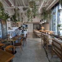  at Wild & The Moon - Emmar in Dubai