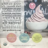 Sign at Natural Yogurt Selections in Anchorage