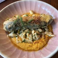 Lions mane and spaetzel??  at Ballard's in Thornbury