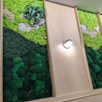  at Hello 123 in Montreal