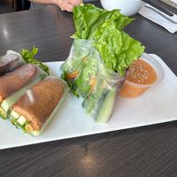Spring Rolls at Hoa Dang Vegetarian Restaurant in San Jose