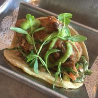 Tempura avocado tacos  at Nic's on Beverly in Los Angeles