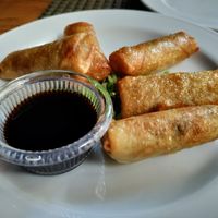 Spring rolls at Vegan In Our House in Cairo