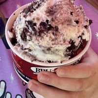 Small vegan cookies and cream   at Bruster's Real Ice Cream in Glendale