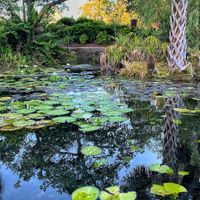 Sit under the trees and enjoy Ulele Spring.  at Ulele in Tampa