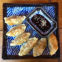 Vegan Gyoza at Aomame in Hamburg