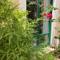 Heerlijk buiten zitten  at O.DA in Sibenik
