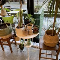 At least the plants are sweet!   at Lovelocks in Liverpool