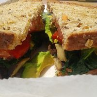 Portobello panini with avocado instead of mozzerella at Sarikopa in Riverhead