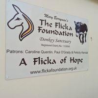  at Flicka Donkey Sanctuary in Penryn