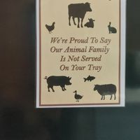  at Flicka Donkey Sanctuary in Penryn