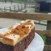  at Flicka Donkey Sanctuary in Penryn