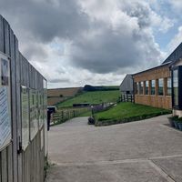  at Flicka Donkey Sanctuary in Penryn