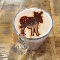  at Flicka Donkey Sanctuary in Penryn