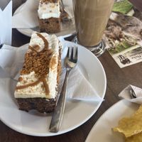   at Flicka Donkey Sanctuary in Penryn