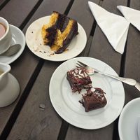  at Flicka Donkey Sanctuary in Penryn