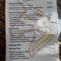  at Flicka Donkey Sanctuary in Penryn