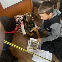   at Flicka Donkey Sanctuary in Penryn