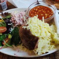  at Flicka Donkey Sanctuary in Penryn